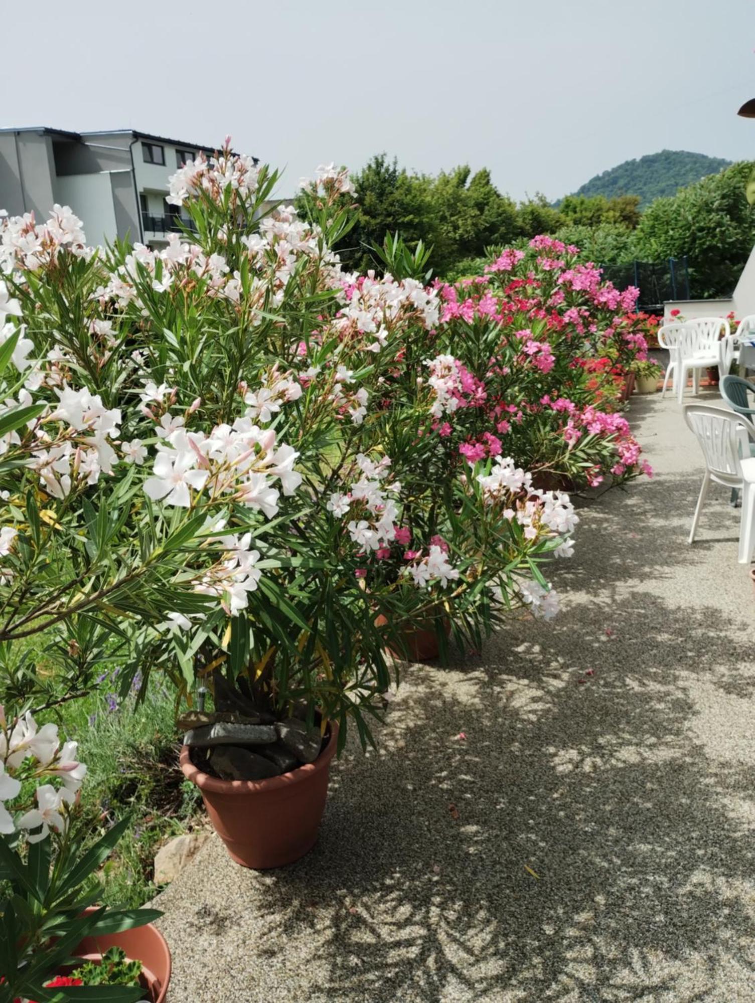 Apartmany Fantagiro Kaluža Extérieur photo